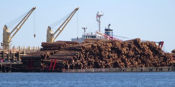 Log Export Policy for British Columbia