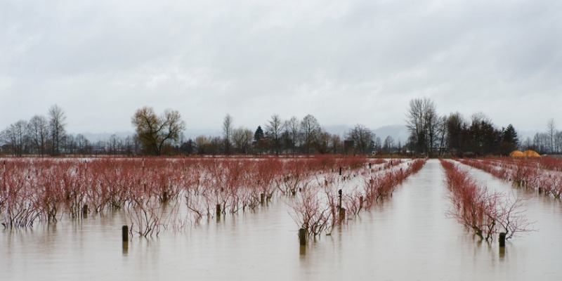 B.C. floods expose hollow ‘emergency’ declarations 