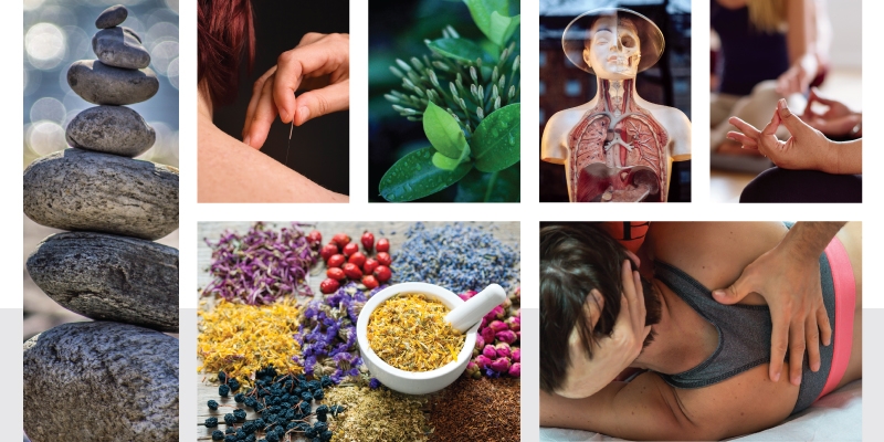 Complementary and Alternative Medicine 2017
